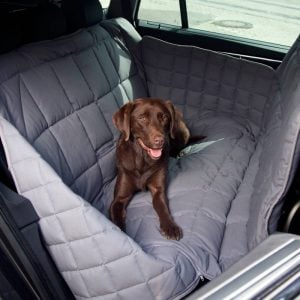 Doctor Bark 3 zits achterbank bescherming grijs met labrador open