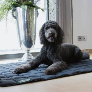 Dogline Doctor Bark Hondendeken Grijs Alle Vijf