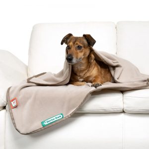 Dogline accessoires honden deken doctor bark fleece deken beige hond op bank