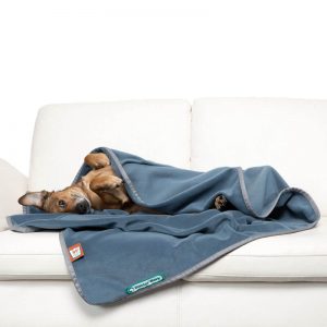 Dogline accessoires honden deken doctor bark fleece deken blauw hond liggend op de bank