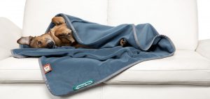 Dogline accessoires honden deken doctor bark fleece deken blauw hond liggend op de bank banner