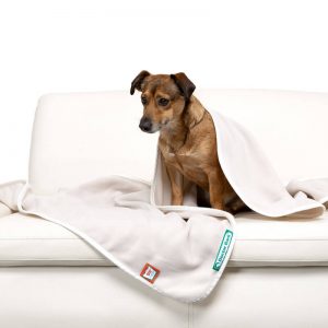 Dogline accessoires honden deken doctor bark fleece deken licht beige op de bank 4