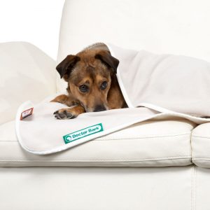 Dogline accessoires honden deken doctor bark fleece deken licht beige op de bank 3