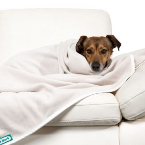 Dogline accessoires honden deken doctor bark fleece deken licht beige op de bank 2